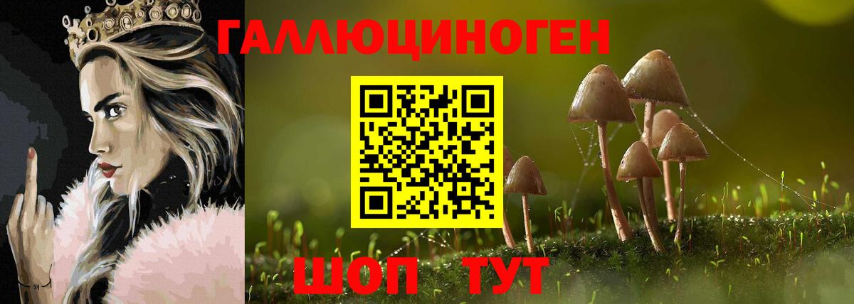Галлюциногенные грибы Psilocybine cubensis  Галлюциногенные грибы мухоморы  Сосновый Бор  Вход с VPN 